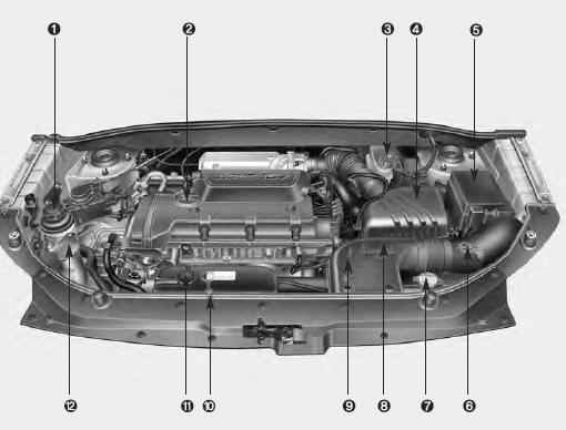Kia Sportage: Engine compartment - Maintenance - Kia Sportage Owner's ...